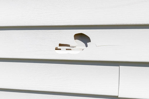 Best Residential Junk Removal  in Milbank, SD
