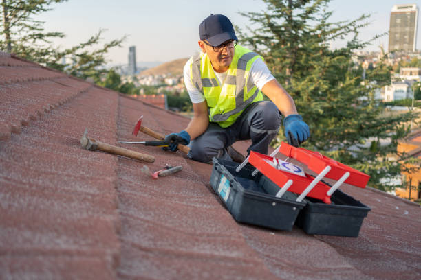 Best Demolition Debris Removal  in Milbank, SD